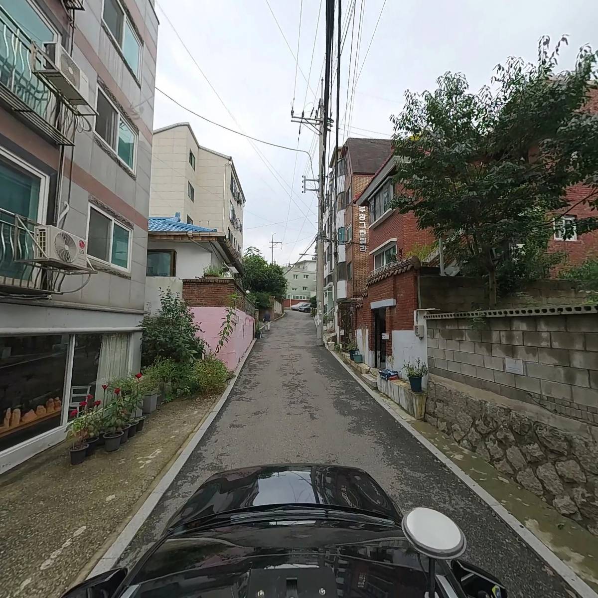 즉각반응_4