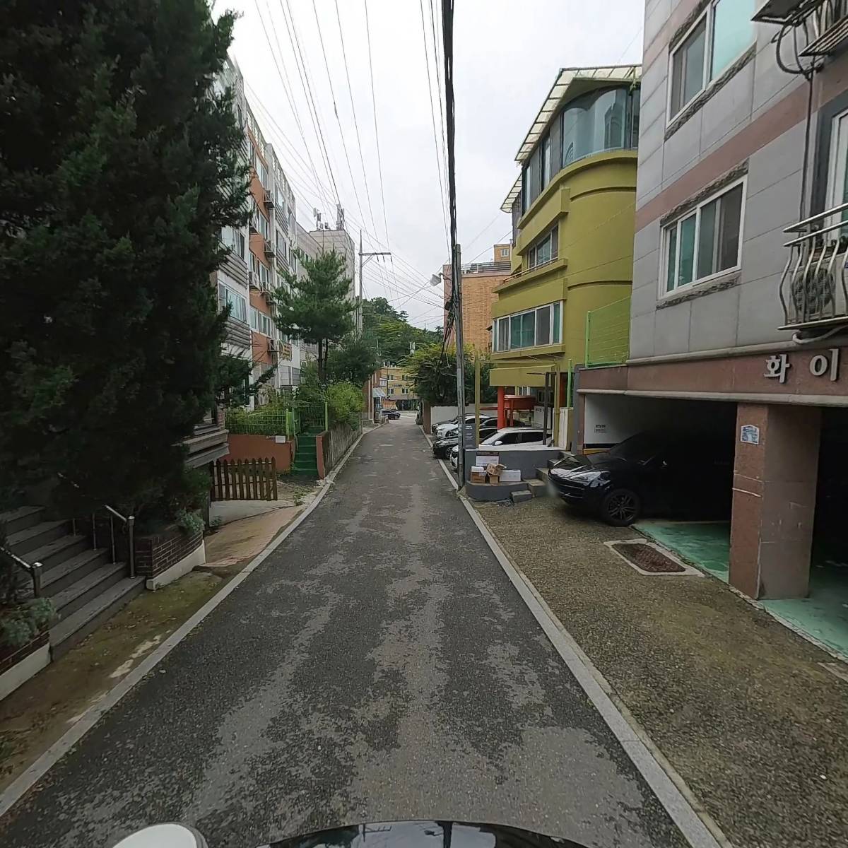 즉각반응_2
