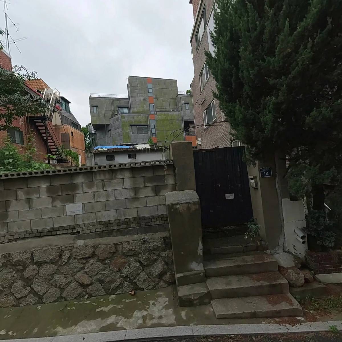 즉각반응