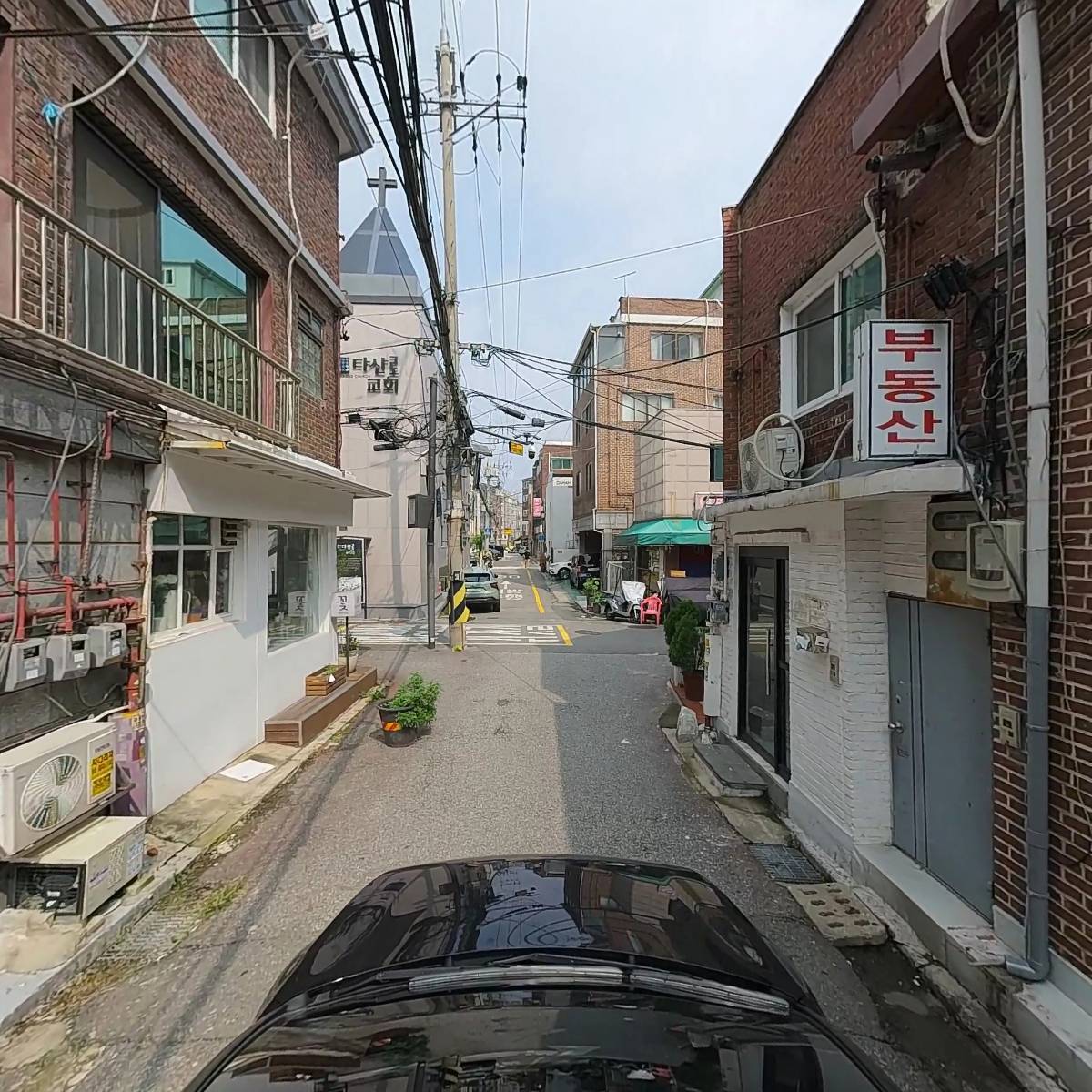 본보니에_4