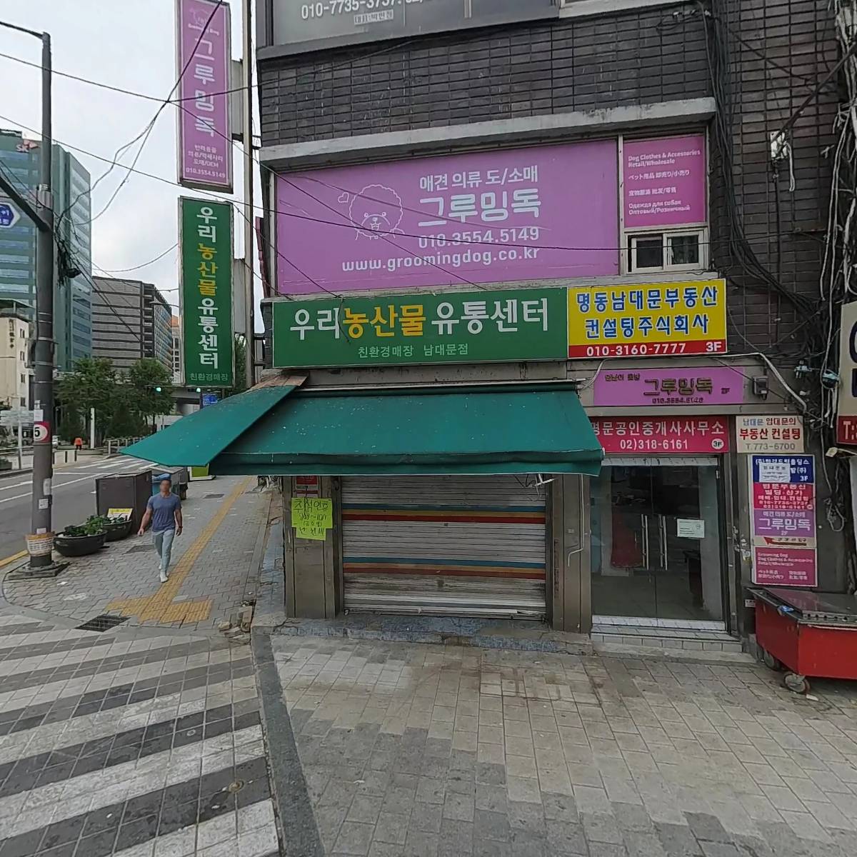 그루밍독