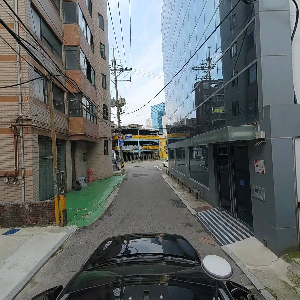 월드염색_4