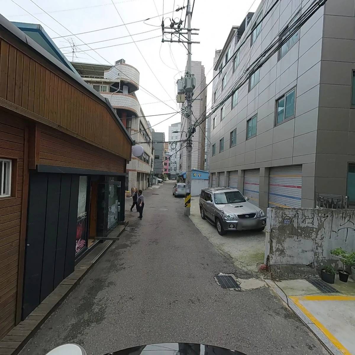 월드염색_2