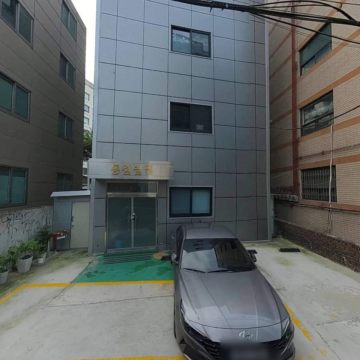 월드염색_3