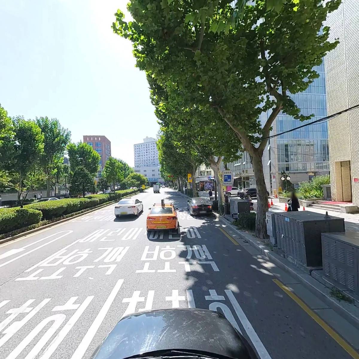 국제라이온스협회 354복합지구_4