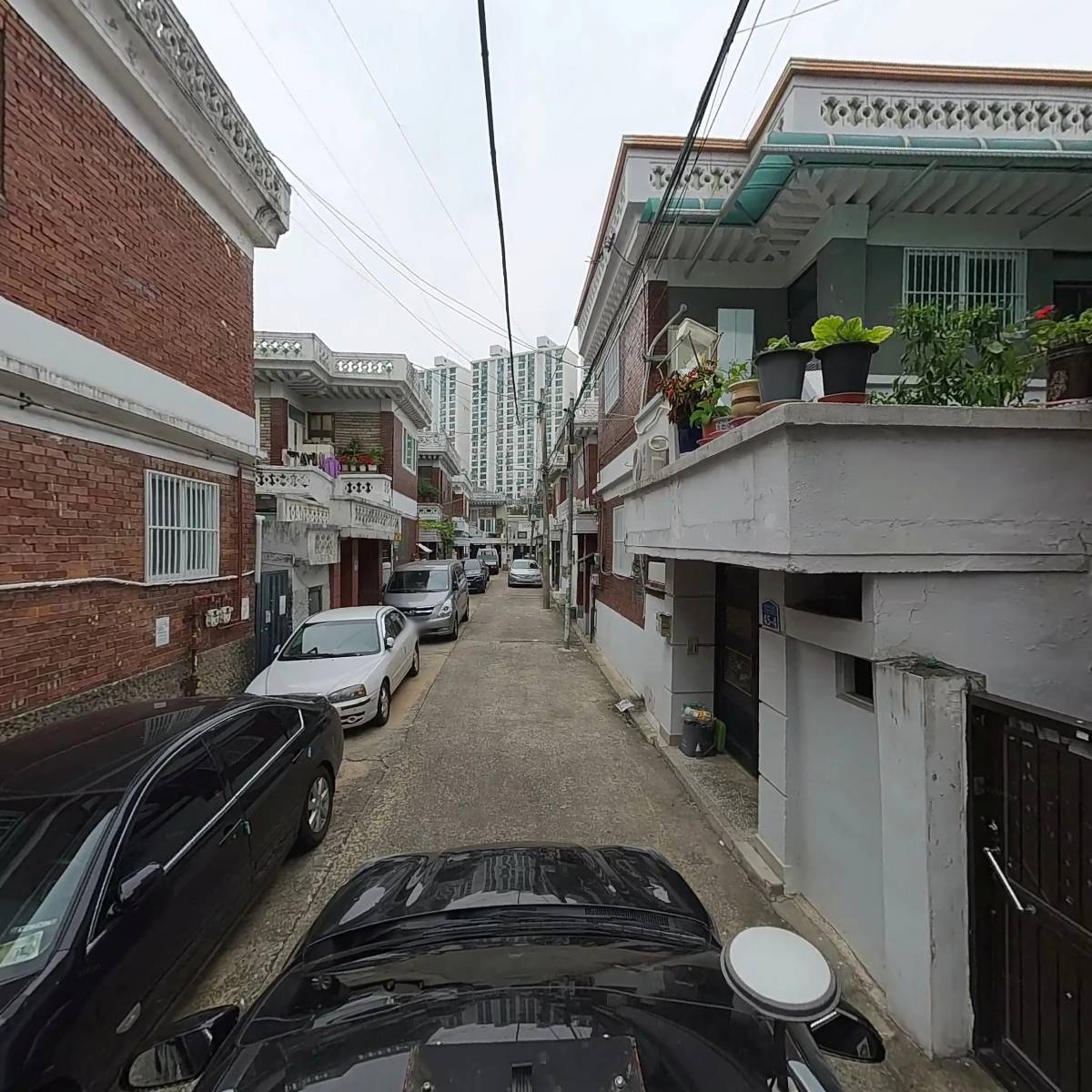 고려대학교 교우회 중랑지부_4