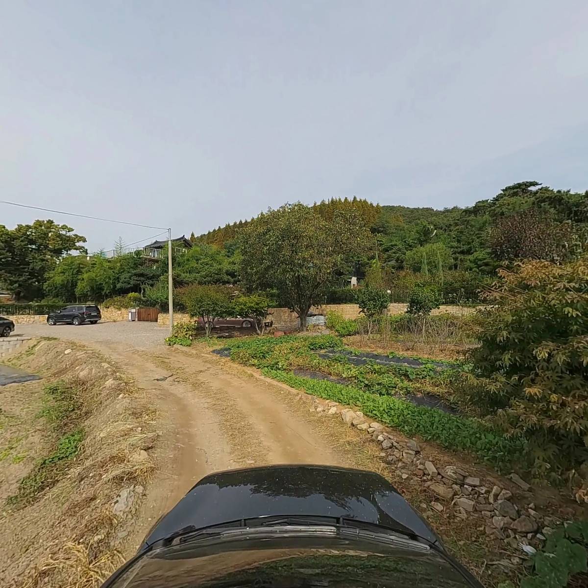 경인벌목_4
