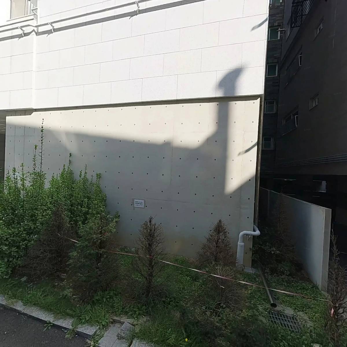 자하생식_3