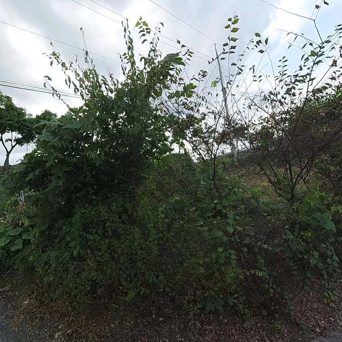 약선흑염소 대구팔공산점