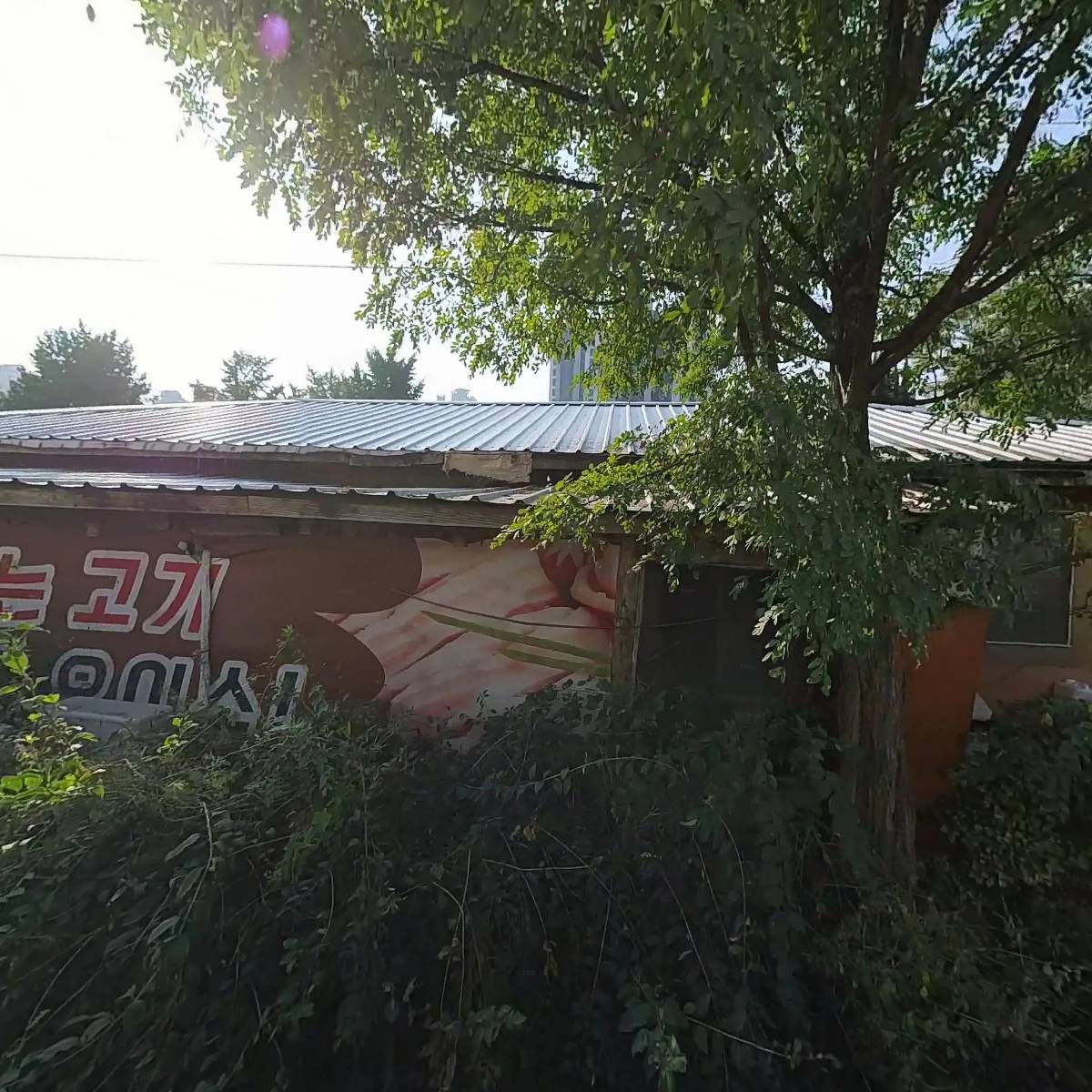 무진장_3
