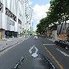 모모스_2