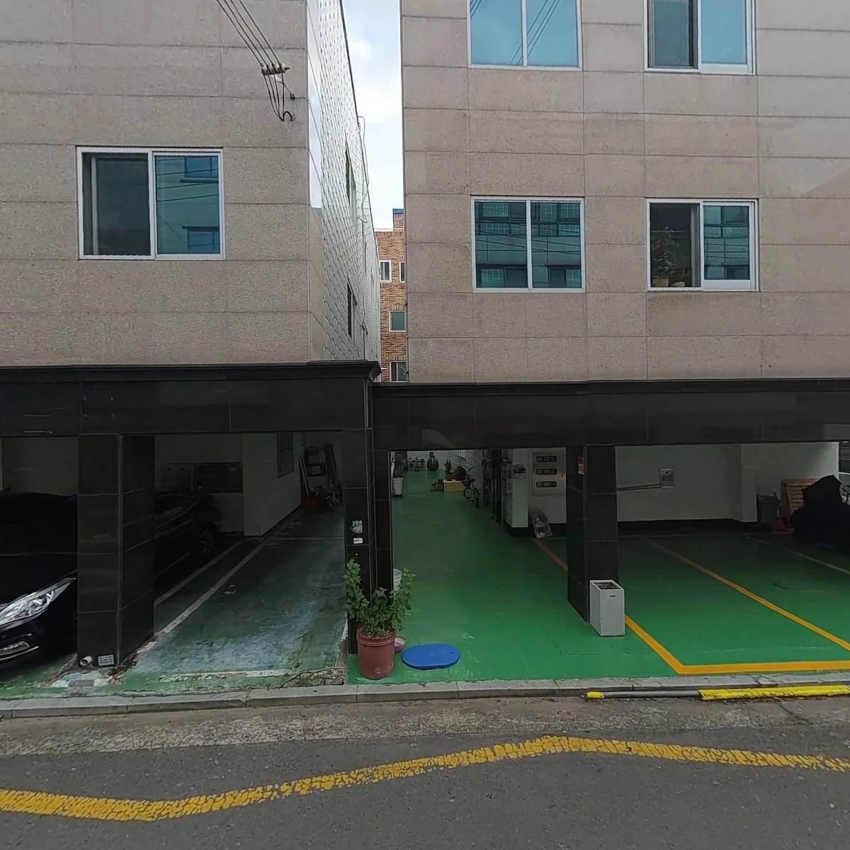 도리몰o_3