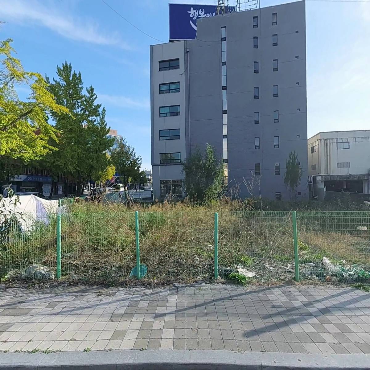 쎄미라인_3