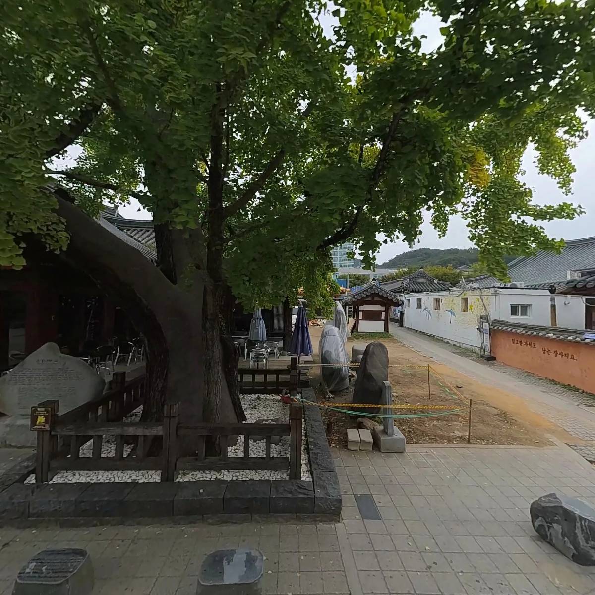 천도교전주교구