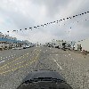 전주청과（88번）_4