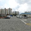 전주청과（88번）_3