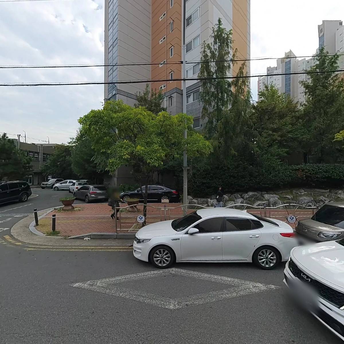 스테디컨슈머_3