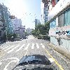 호성꽃돼지_4