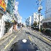 호성꽃돼지_2