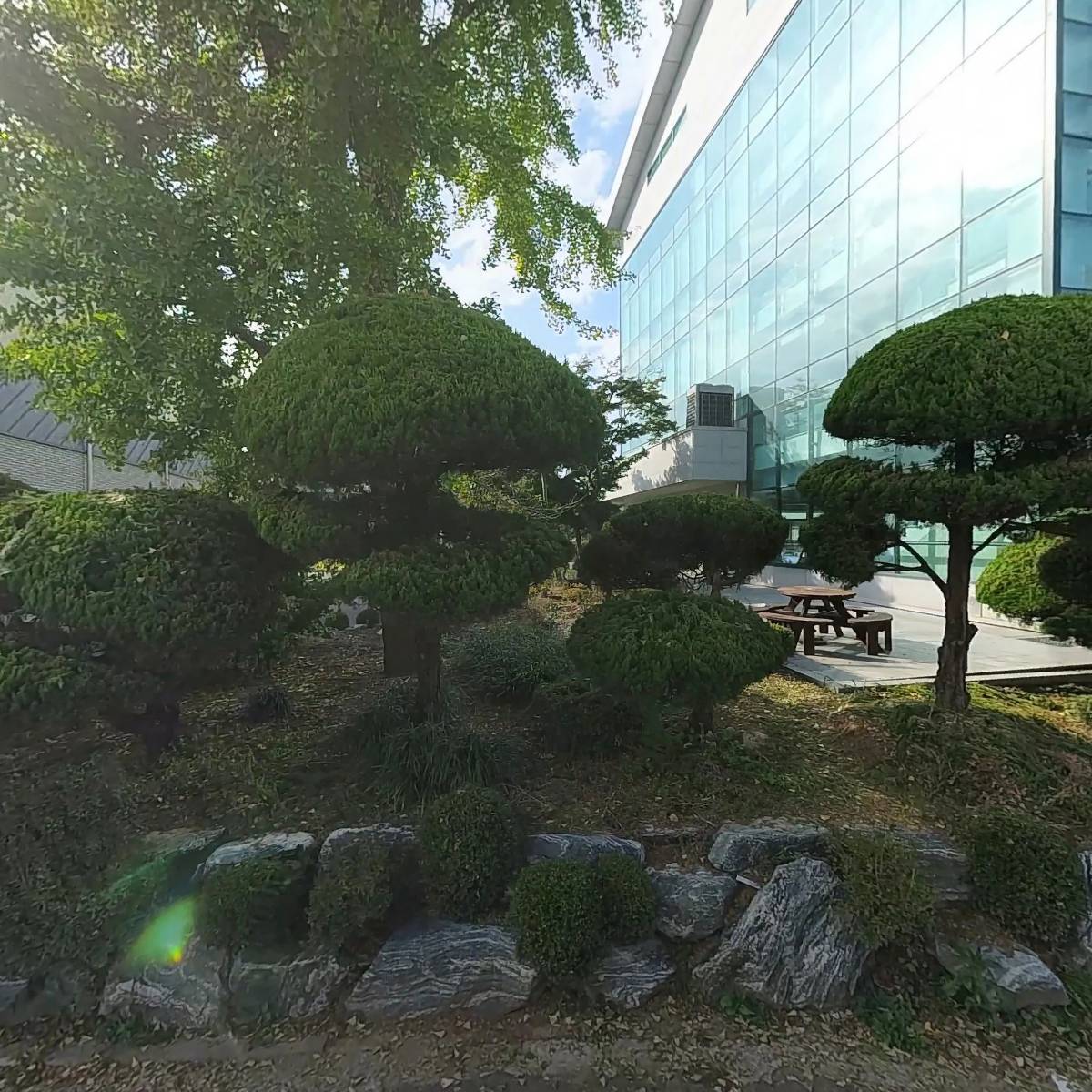 스포츠제이체대입시