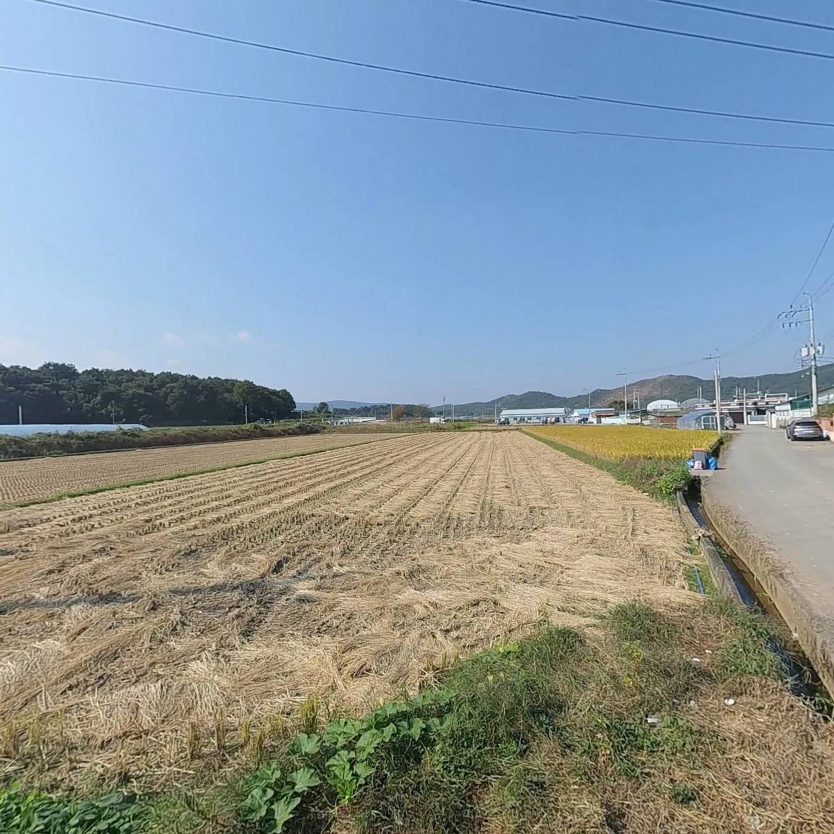 명화 상점