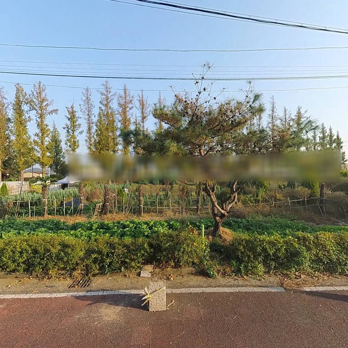 대한예수교장로회 신촌중앙교회_3