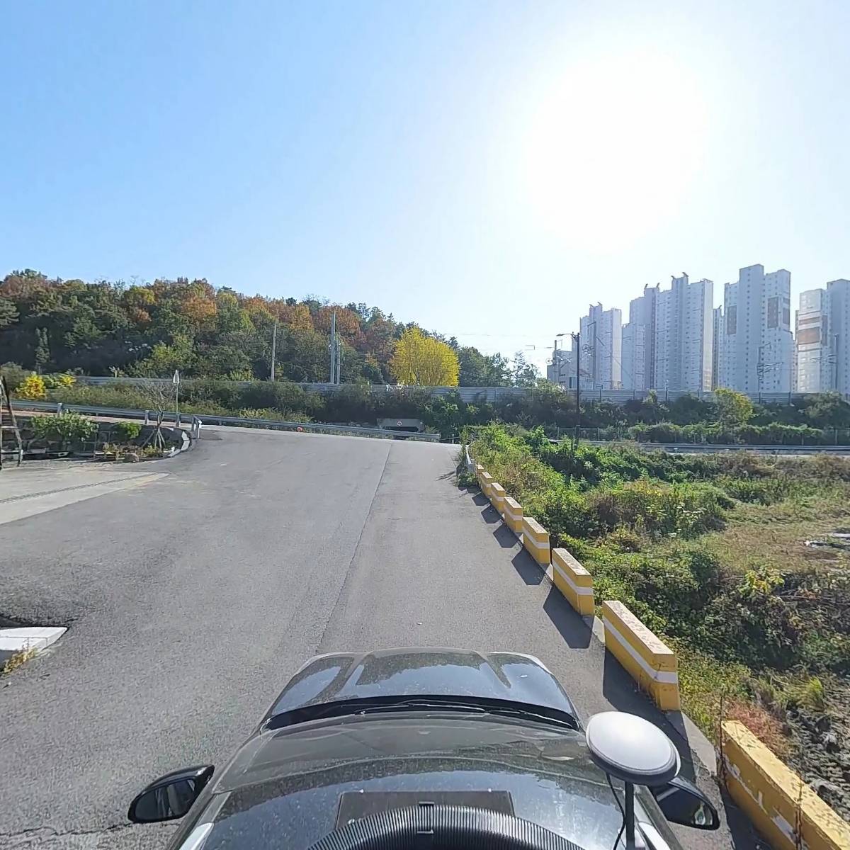 아라스치로폴_4