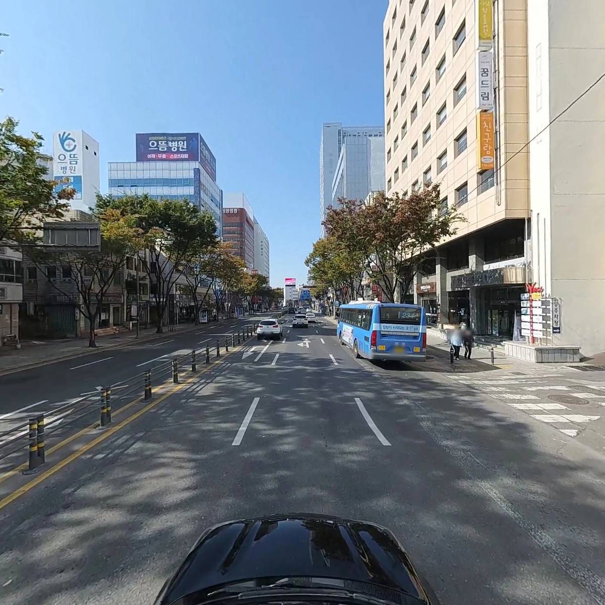 댄들리온_4