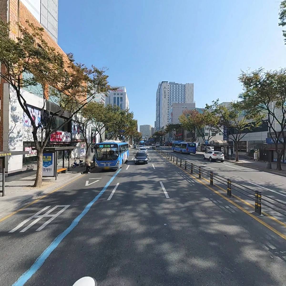 댄들리온_2