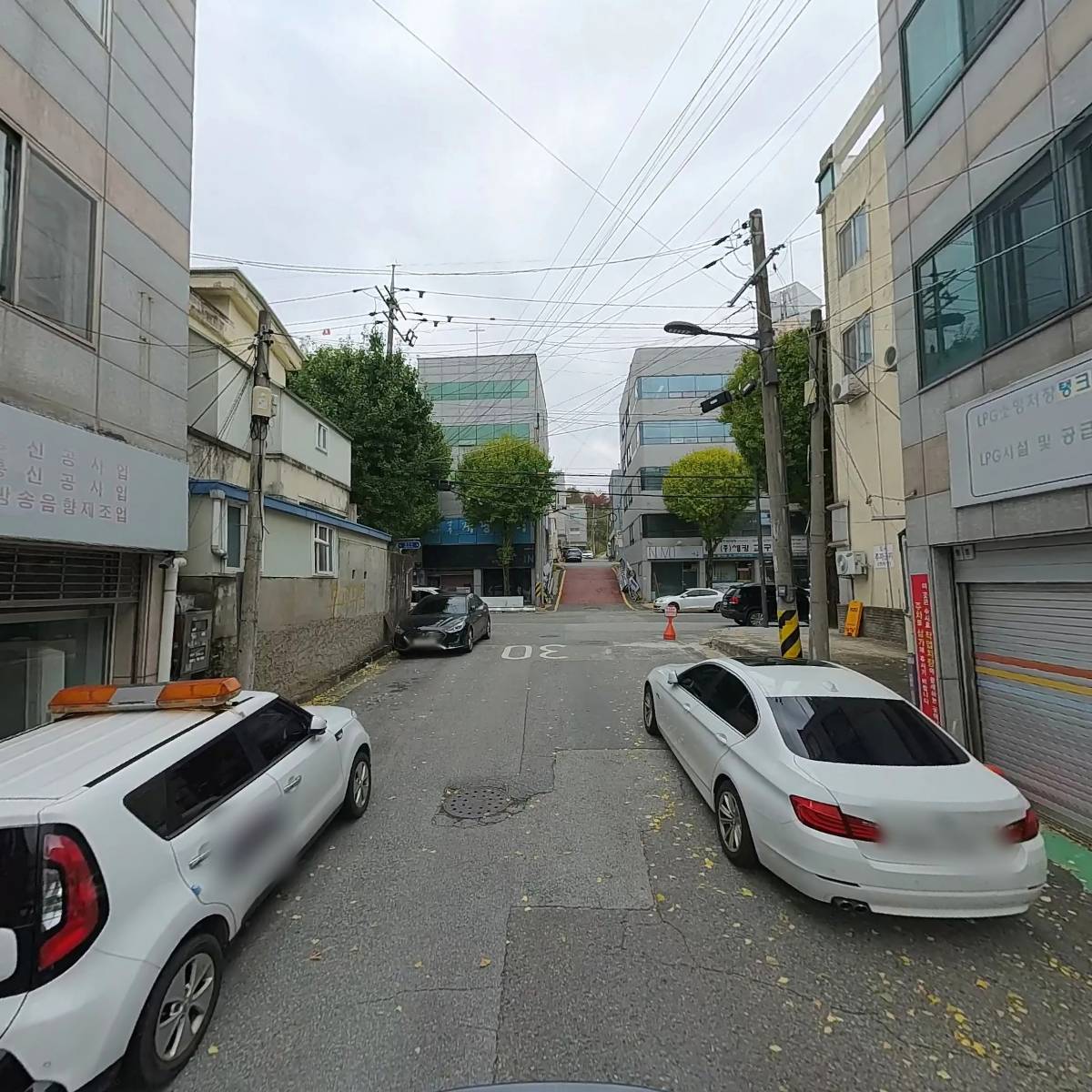유한회사 샤넬여성_2