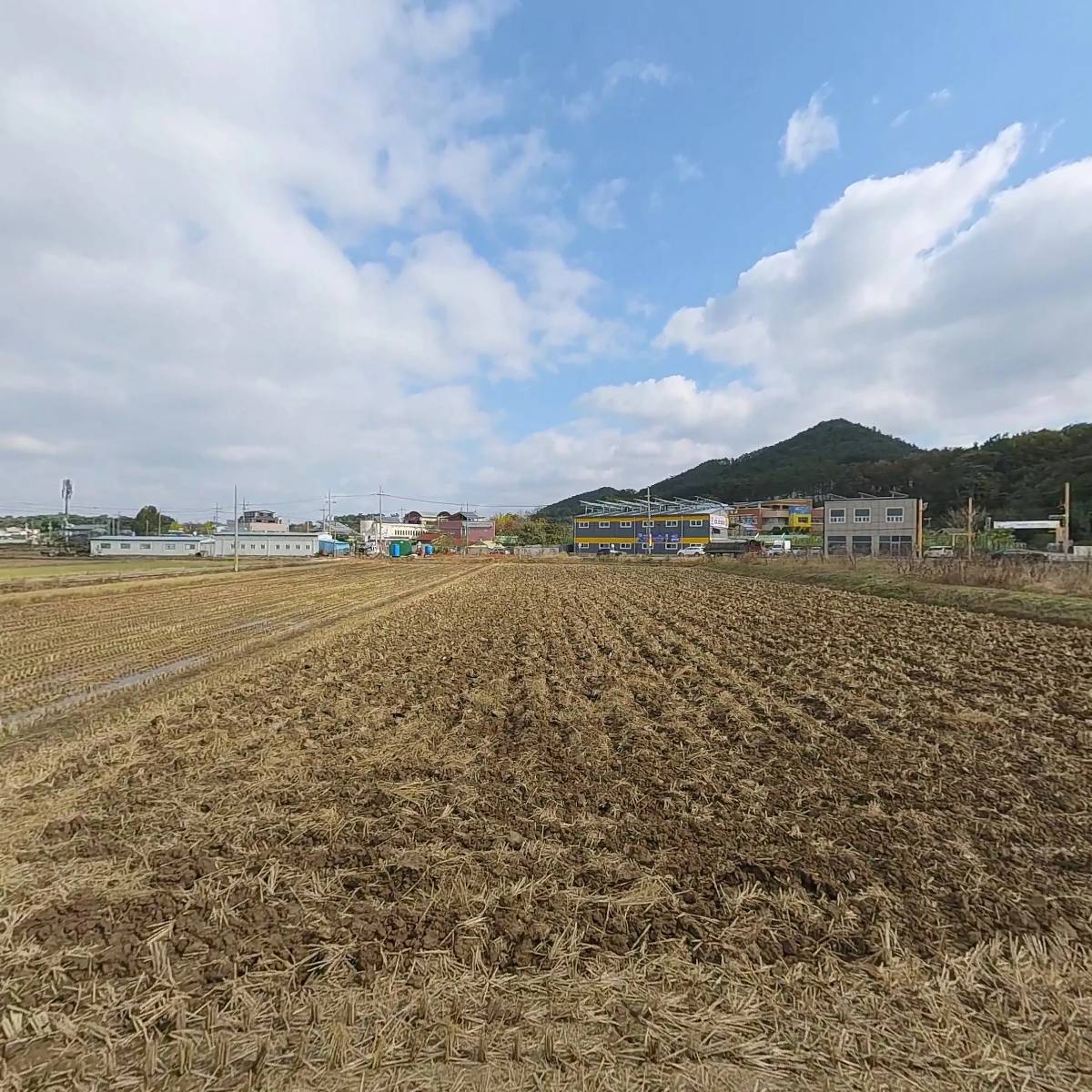 국화분재학교 협동조합