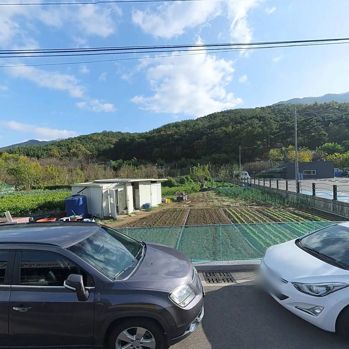 삼정콩국수 옹기칼제비
