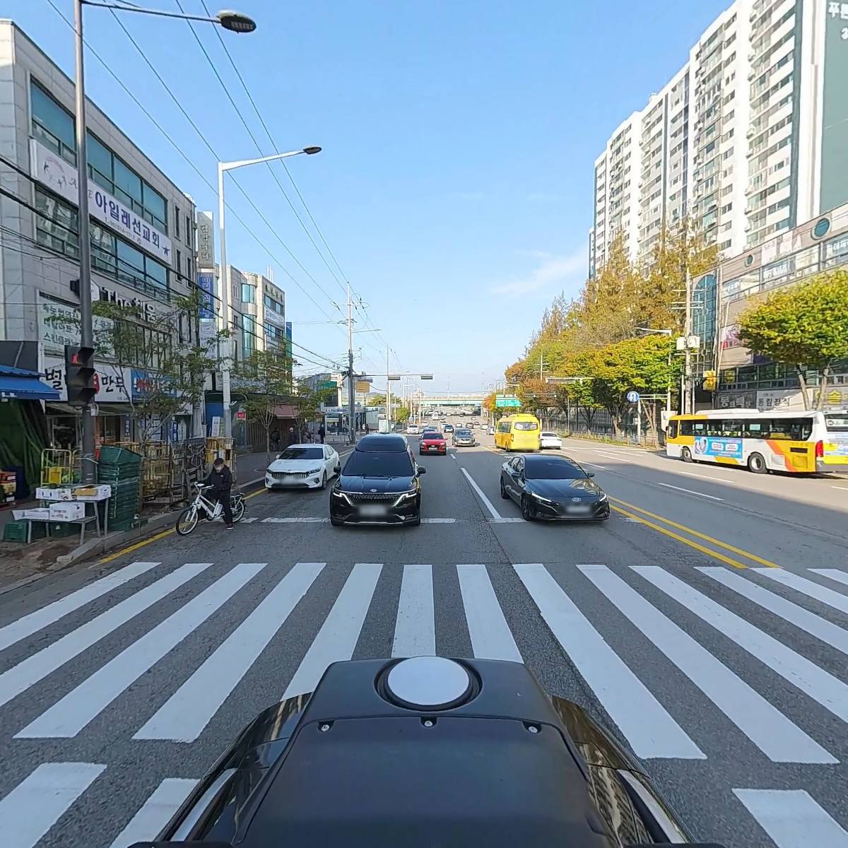 동림청과야채_2