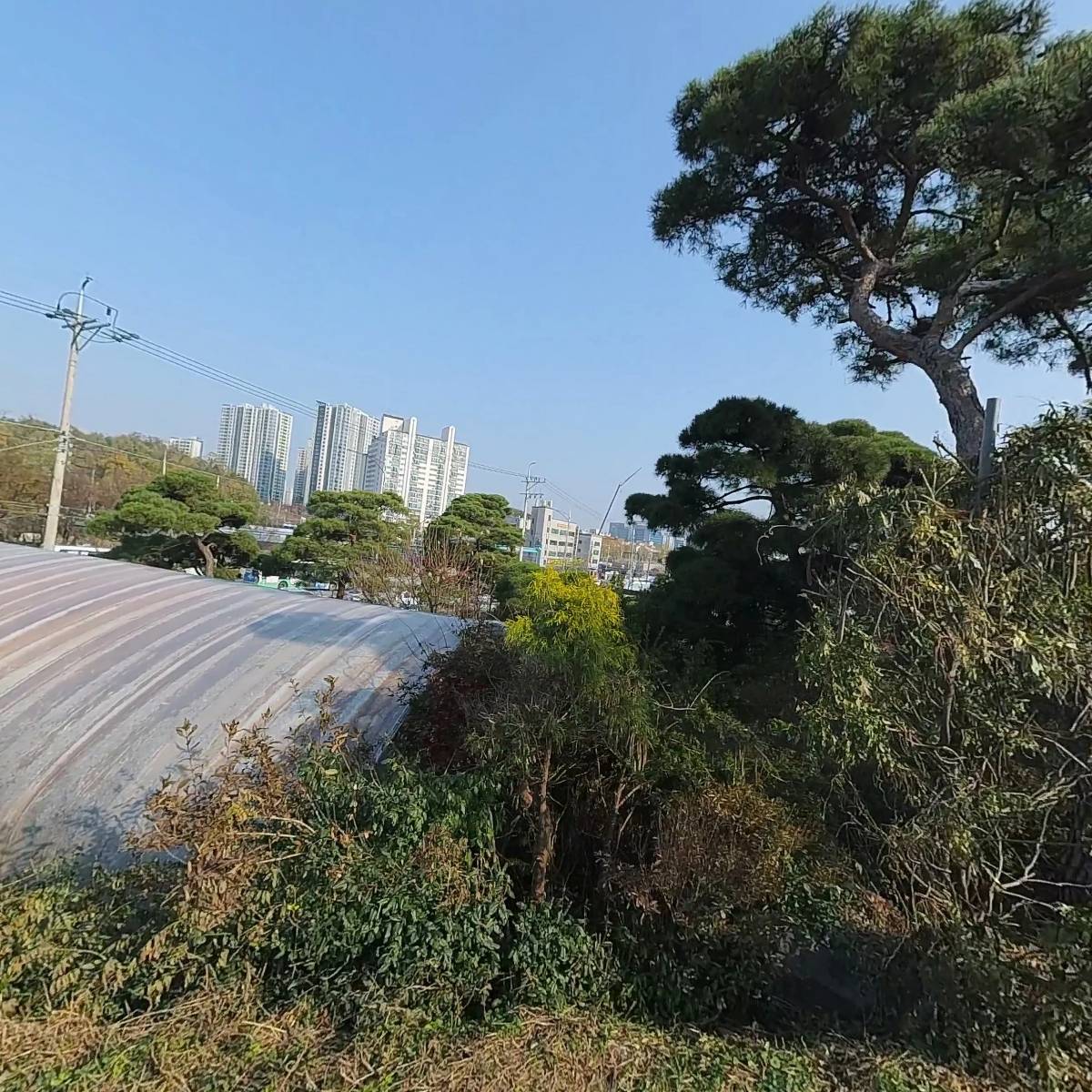 일호조경_3