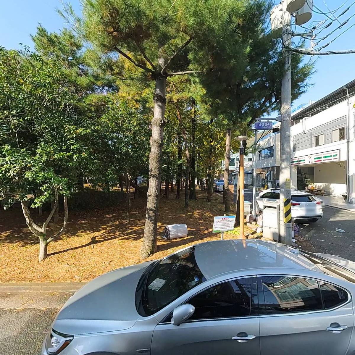 팔마문화예술단