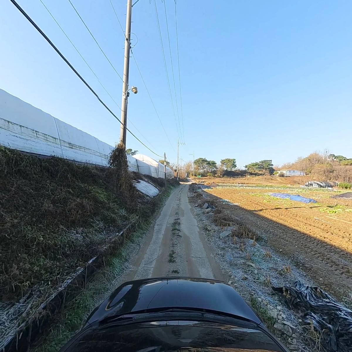 광명화훼집하장_4