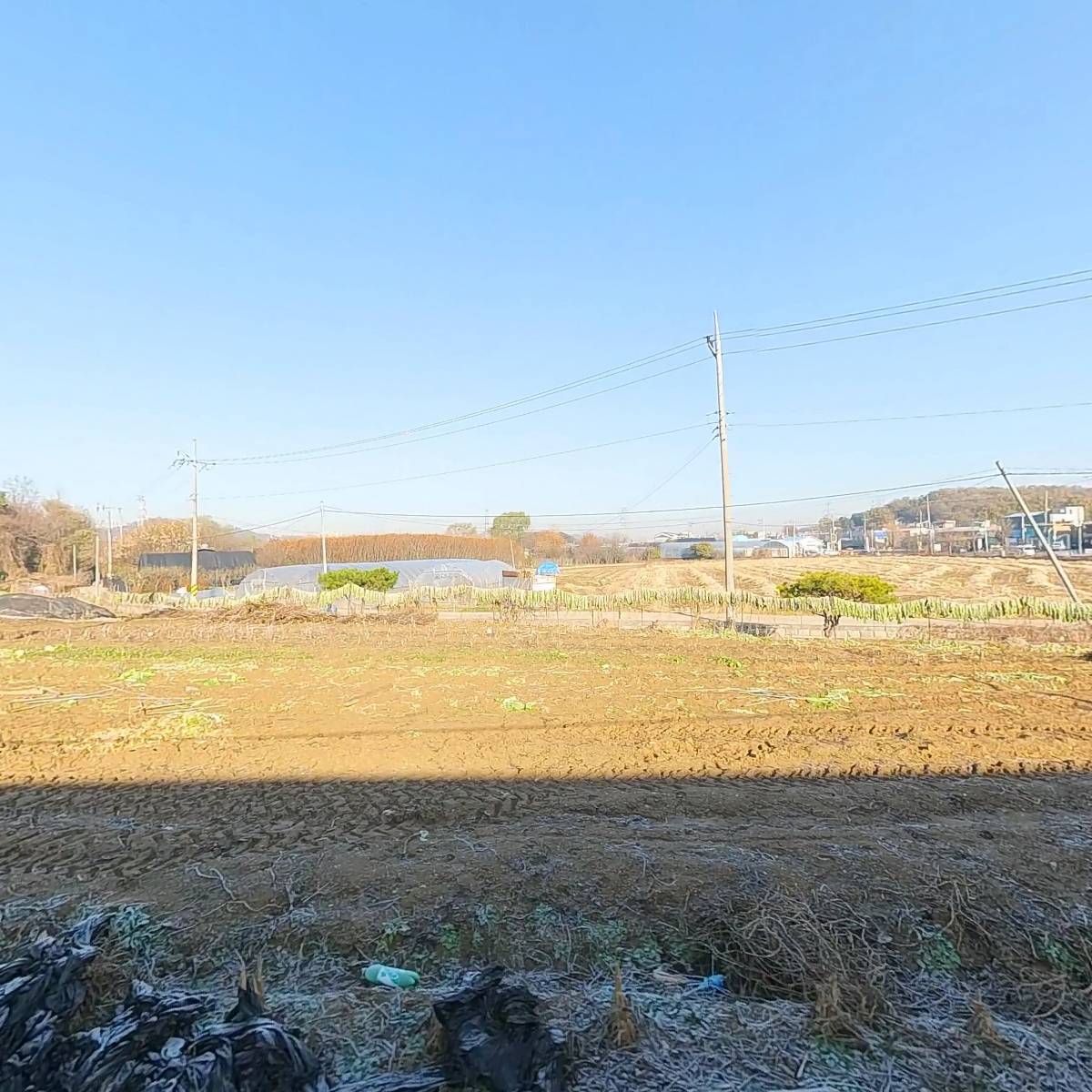 광명화훼집하장