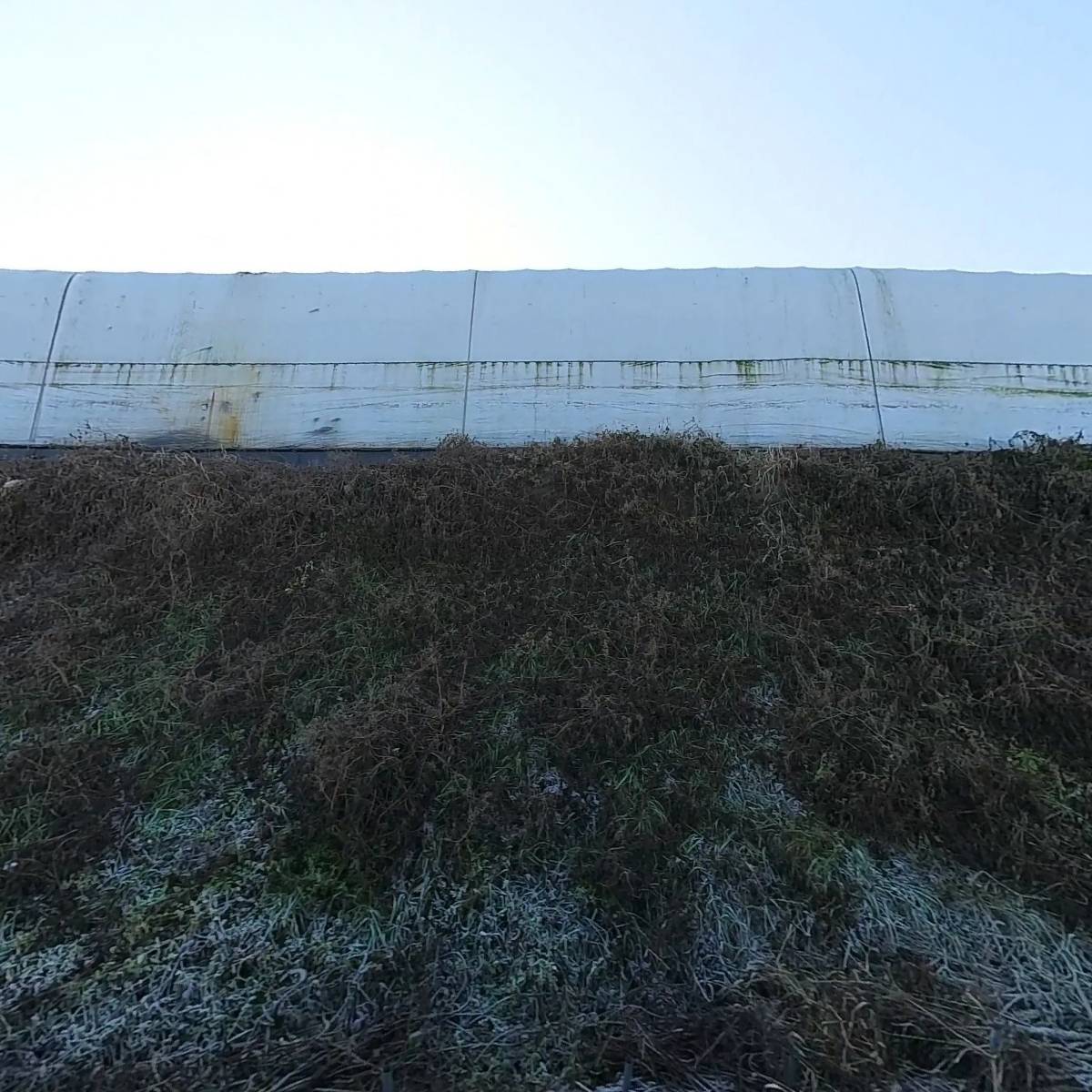 광명화훼집하장_3