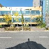 오발탄
