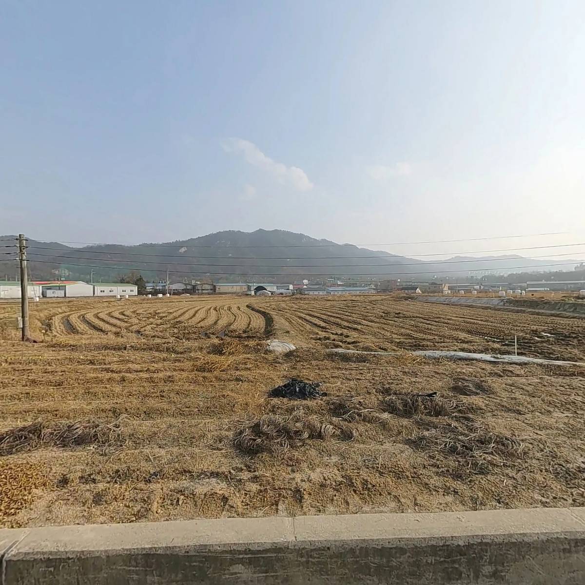프로텍스 주식회사