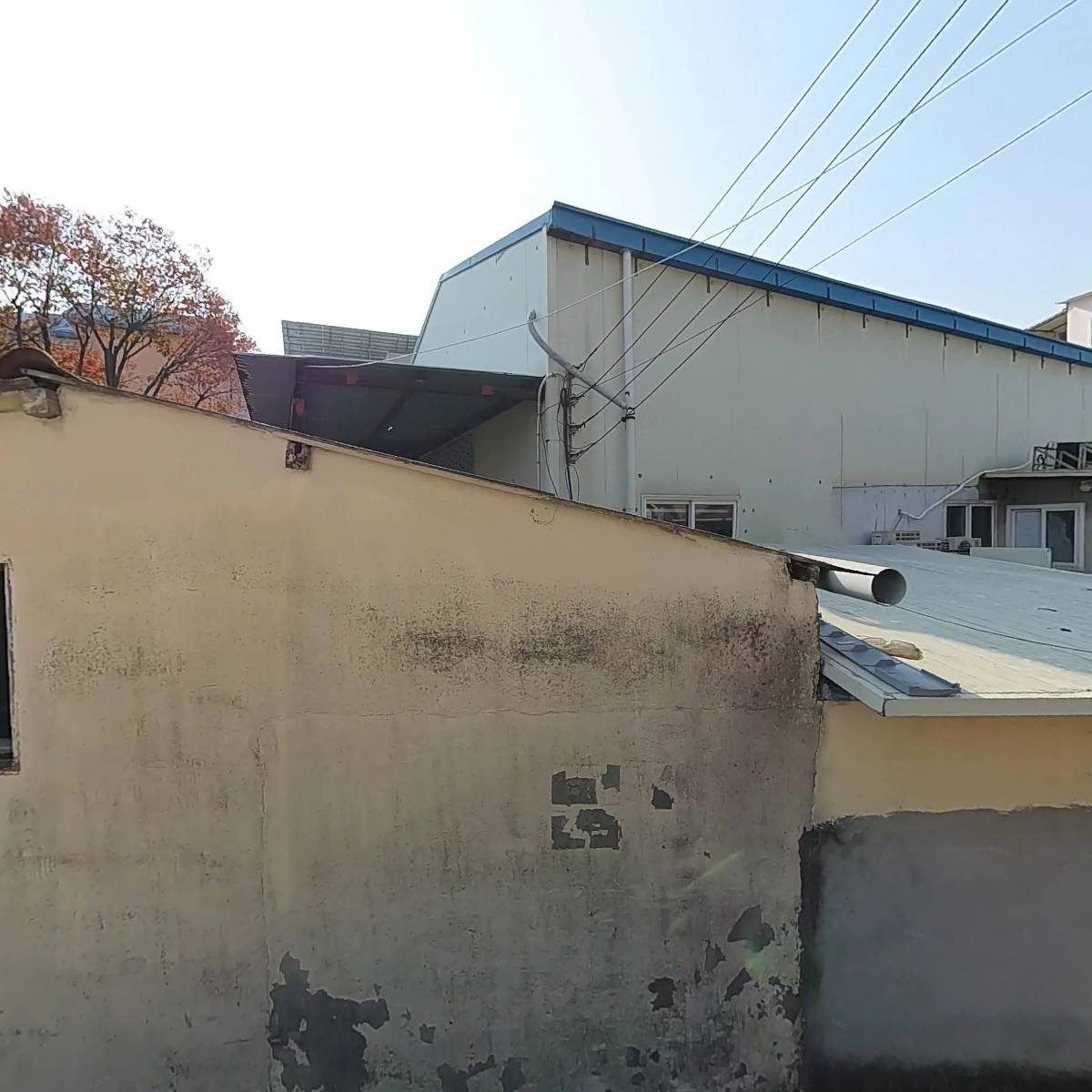 한국불교대각종 대각사
