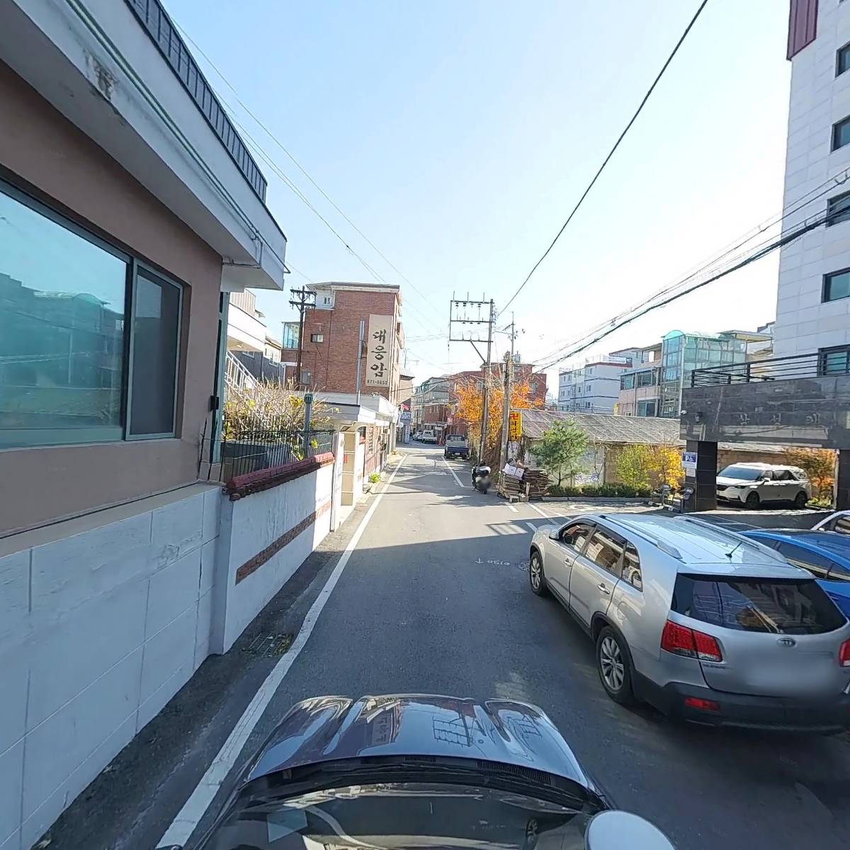 애니멀 스페이스_4