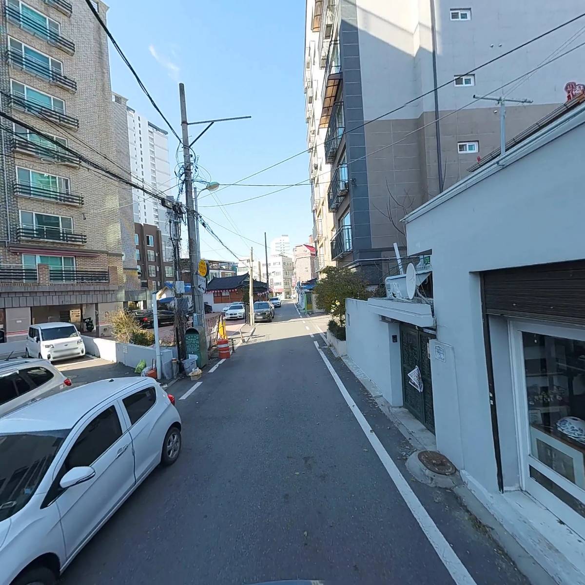 애니멀 스페이스_2
