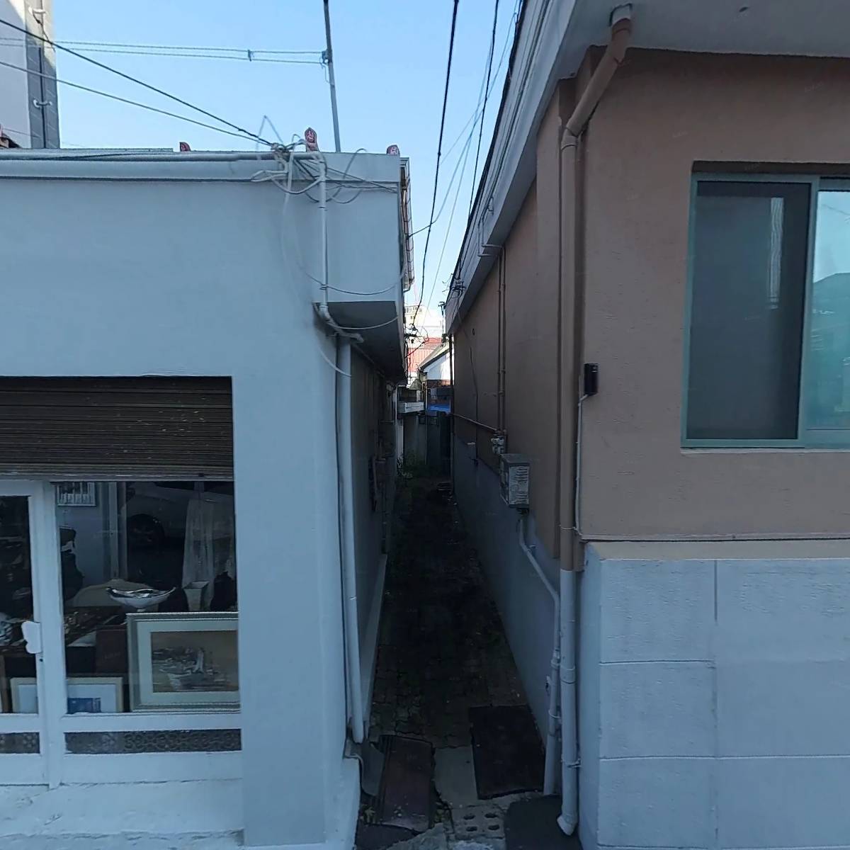 애니멀 스페이스_3