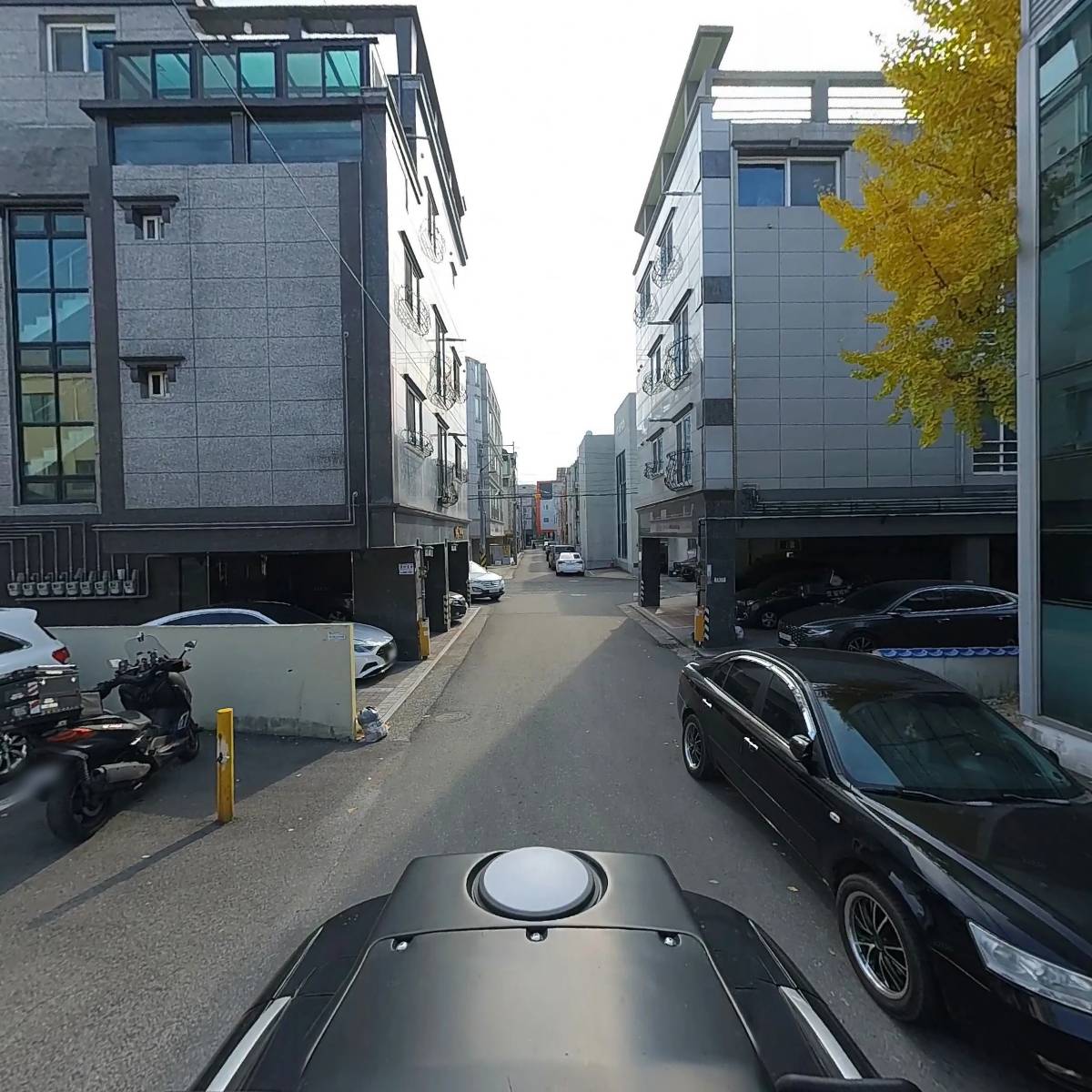울산광역시한방울타리봉사단_2