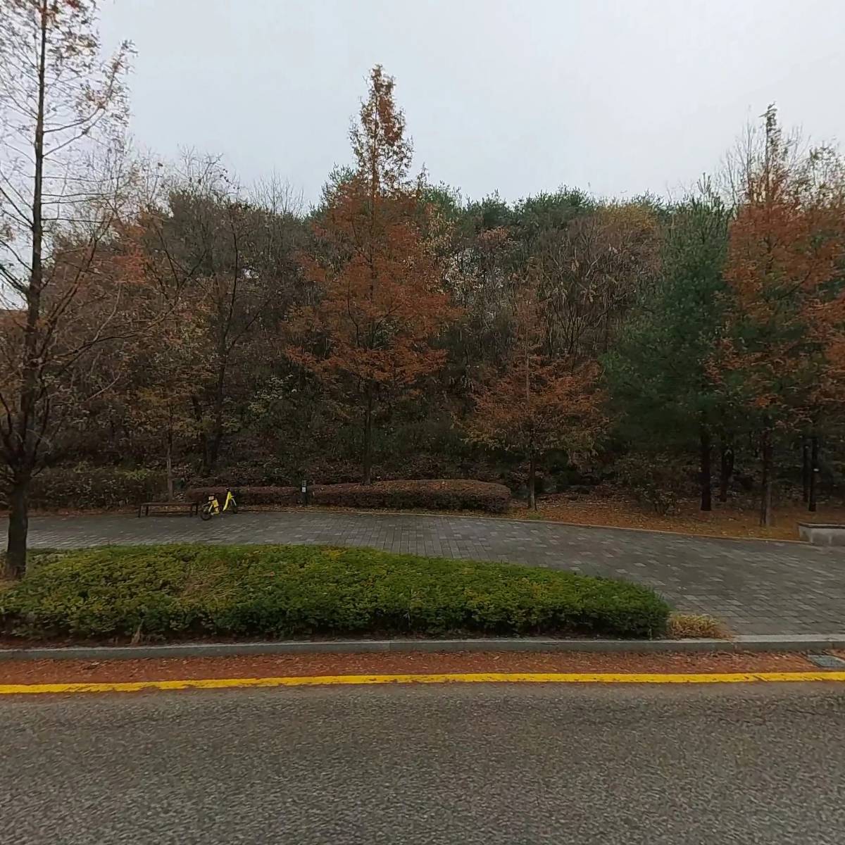 올가드림뷰티(광교웰빙타운점)_3