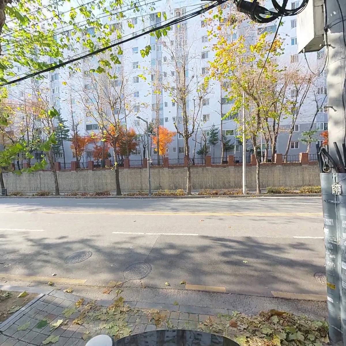 이그로스_2
