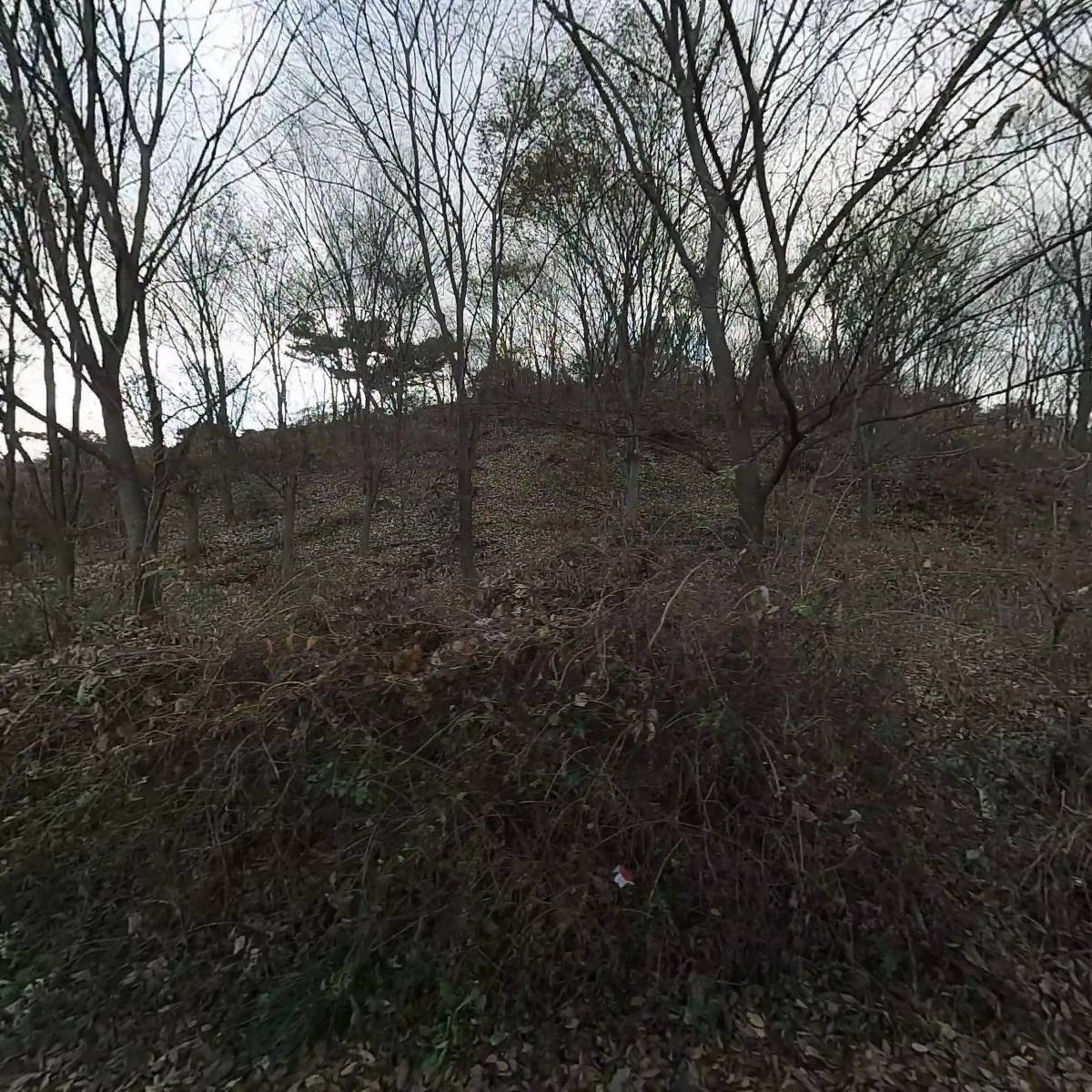 주식회사 인퍼니처