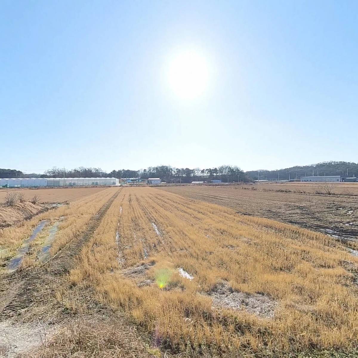 농업회사법인(주)도원물산