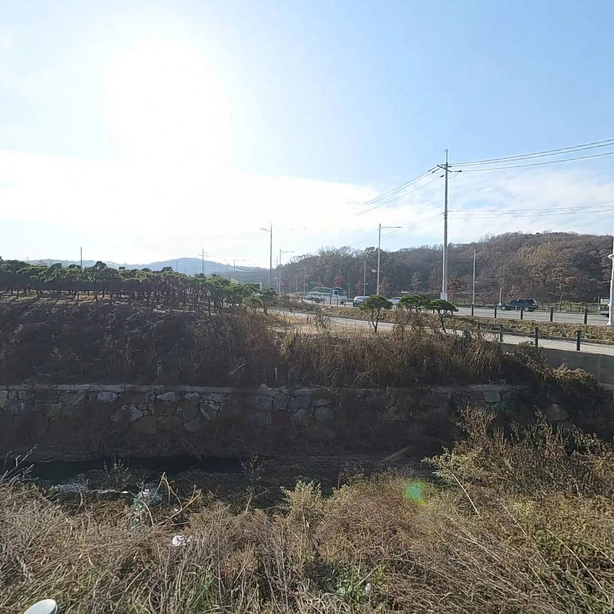 품육참숯소갈비살김포구래점_3